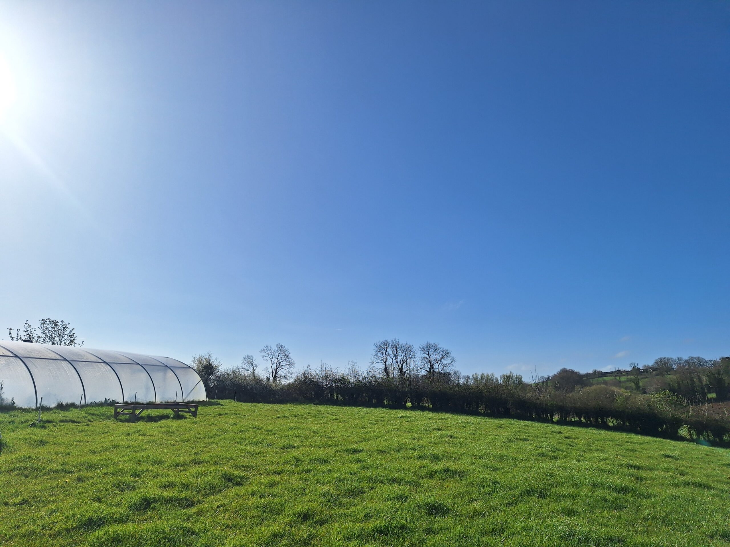 Poly tunnel, green rolling hills, clear sunny day, Orchard Escargot